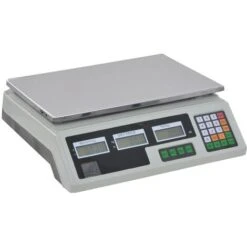 Balance Numérique 30 Kg Avec Batterie Rechargeable VidaXL -Promos Outil Virtuose Magasin 11443256 4