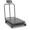 Balance Plateforme Mobile Pèse-Colis Professionnel Industriel LED 600kg ±100g 1 Balance Plateforme Mobile Pèse-Colis Professionnel Industriel LED 600kg ±100g -Promos Outil Virtuose Magasin 28014424 1