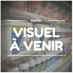 Tiers Point Taille Extra Effilélongueur 200 Mmlargeur 10 Mmtype Angles Vifs