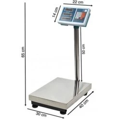 Balance Industrielle électronique 100 Kg écran LCD Pese -Promos Outil Virtuose Magasin 6512128 4