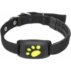 Collier Intelligent Pour Animaux De Compagnie Avec Traceur GPS Et Instructeur D'activité De Lumière étanche Pour Chats Et Chiens GPS Anti-perte Pour Animaux De Compagnie Emplacement De L'animal