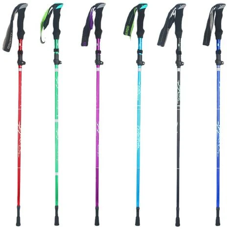 Bâtons De Trekking 1 Bâtons De Trekking Nordiques, Réglables 110-130 Cm Légers Pliables Et Réglables En Aluminium Bâtons De Trekking Télescopiques Faciles Pour La Randonnée Bleu BF 5 Bâtons De Trekking 1 Bâtons De Trekking Nordiques, Réglables 110-130 Cm Légers Pliables Et Réglables En Aluminium Bâtons De Trekking Télescopiques Faciles Pour La Randonnée Bleu BF – Image 3