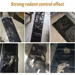 Lot De 5 Pièges à Souris Et à Rat Collant Piège à Colle Pour Rat Cafard Scolopendre Punaise Tapis Collant Pour Dératiser 60 X 28 Cm -Promos Outil Virtuose Magasin 89373416 5