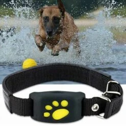 Chiens Chats Gps Suivi Pet Gps Tracker Collier Anti-perdu Dispositif De Suivi En Temps Réel Localisateur De Colliers Pour Animaux De Compagnie Avec Micro -vert -Promos Outil Virtuose Magasin 95317994 4
