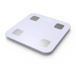 Échelle Électronique Graisse Corporelle Échelle De Poids En Gros Commercial Corps Humain Professionnel Ménage Filles Haute Précision Smart Bluetooth Échelle Électronique-2pcs